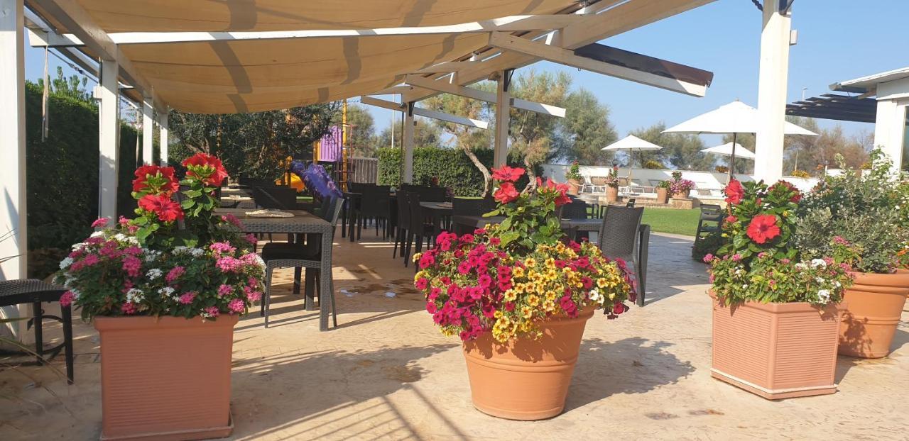 Hotel Corallo Fregenae Εξωτερικό φωτογραφία